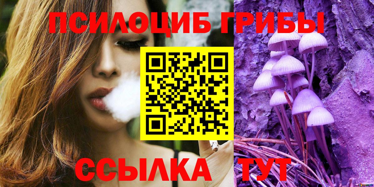 Псилоцибиновые грибы Psilocybe  где купить наркотик  Обь  Вход с VPN  Галлюциногенные грибы прущие грибы 